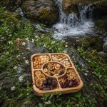 اردو خوری مستطیل 5 خانه - تصویر 2